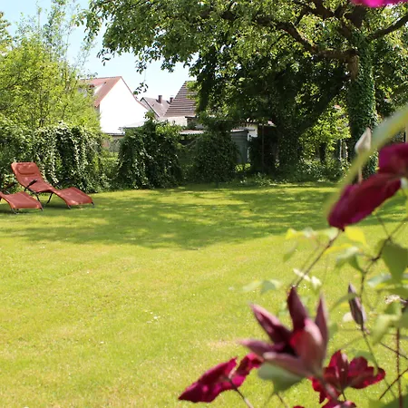 Sunnegaessle 3* Rust