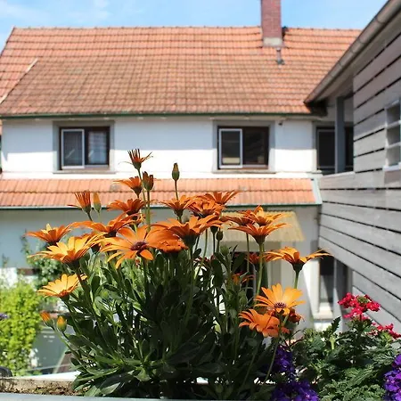 Hotel Hotel Sunnegaessle 3*
