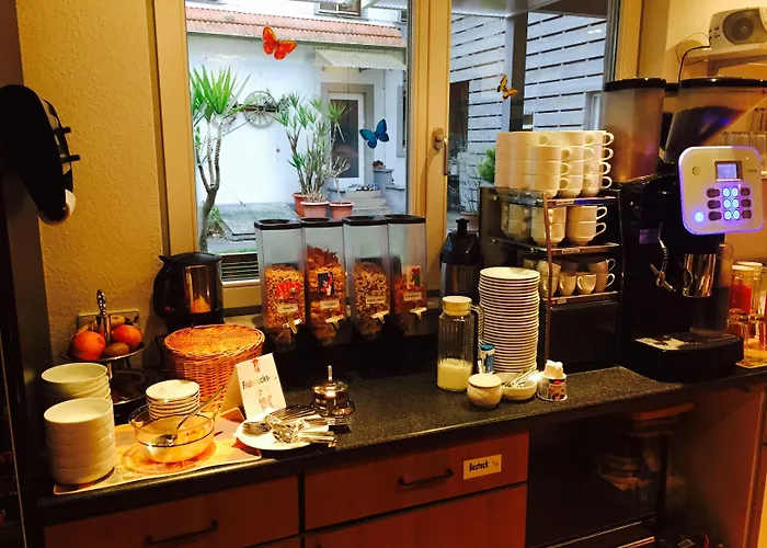 Sunnegaessle Hotel 3*