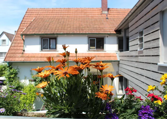 فندق Sunnegaessle 3*